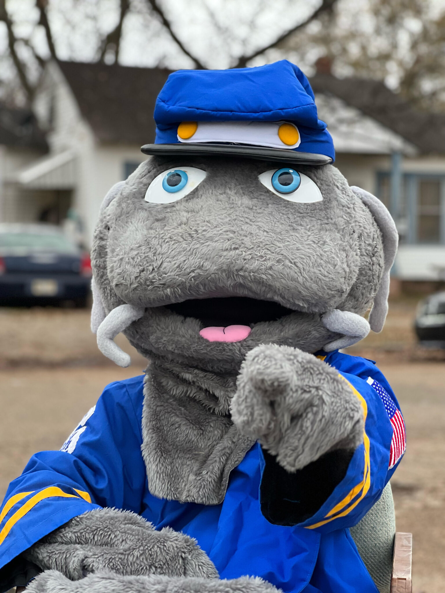 47th Annual World Catfish Festival BelzoniHumphreys Development